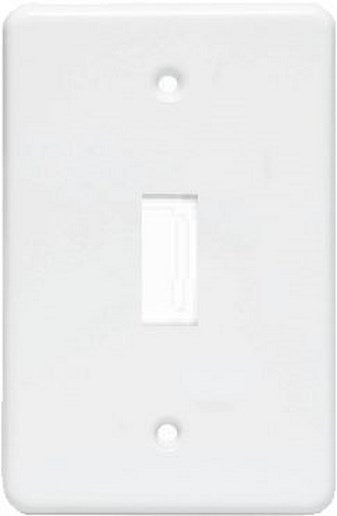ELEC MTS SWITCH COVER PLATE 1L LOOSE L