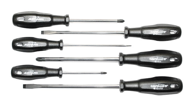 CAROLUS SCREW DRIVER SET 6PCE