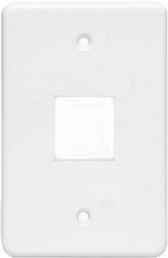 ELEC MTS SWITCH COVER PLATE 2L LOOSE L