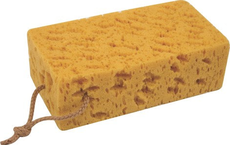 SPONGE CORAL JUMBO 18X11 (120)