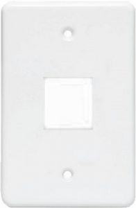 ELEC MTS SWITCH COVER PLATE 2L LOOSE L