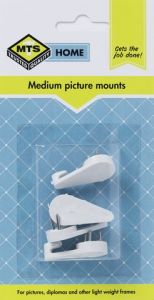 MTS HOME MEDIUM PICTURE MOUNTS 